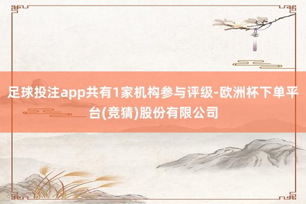 足球投注app共有1家机构参与评级-欧洲杯下单平台(竞猜)股份有限公司