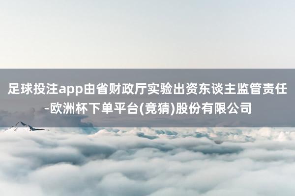 足球投注app由省财政厅实验出资东谈主监管责任-欧洲杯下单平台(竞猜)股份有限公司