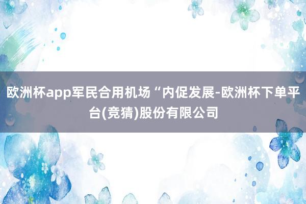 欧洲杯app军民合用机场“内促发展-欧洲杯下单平台(竞猜)股份有限公司