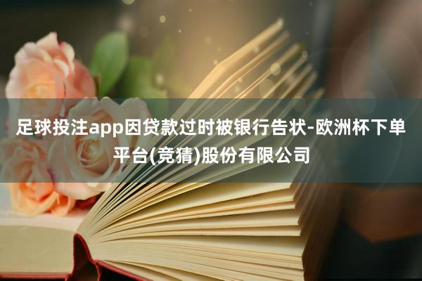 足球投注app因贷款过时被银行告状-欧洲杯下单平台(竞猜)股份有限公司