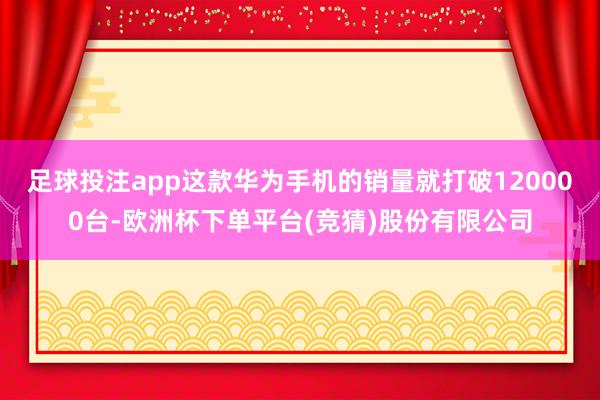 足球投注app这款华为手机的销量就打破120000台-欧洲杯下单平台(竞猜)股份有限公司