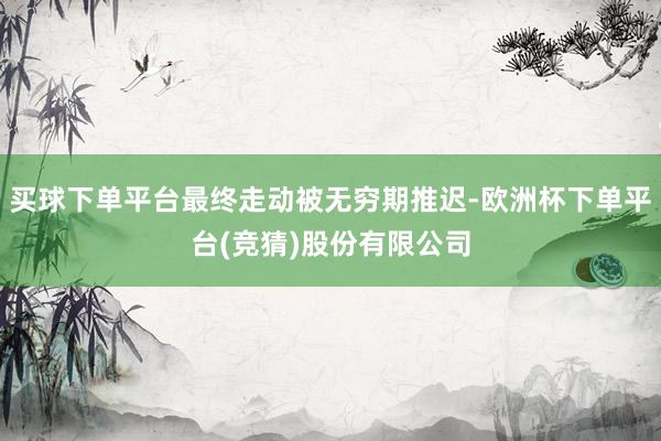 买球下单平台最终走动被无穷期推迟-欧洲杯下单平台(竞猜)股份有限公司