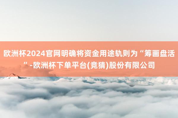 欧洲杯2024官网明确将资金用途轨则为“筹画盘活”-欧洲杯下单平台(竞猜)股份有限公司