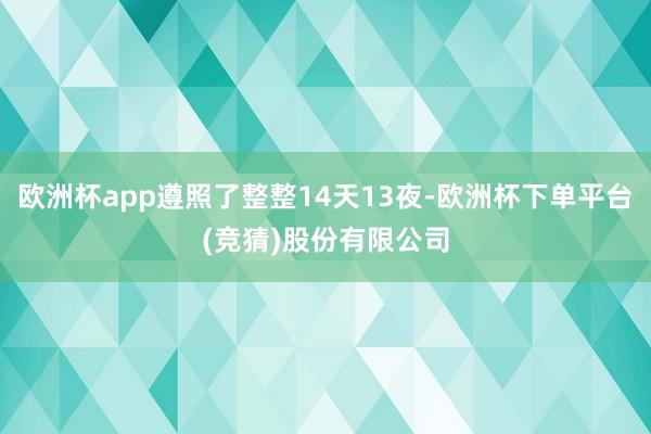欧洲杯app遵照了整整14天13夜-欧洲杯下单平台(竞猜)股份有限公司