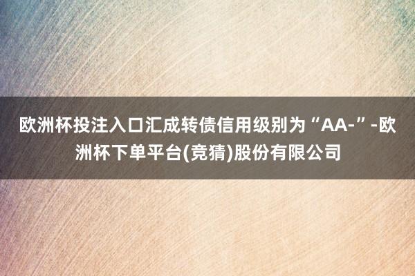 欧洲杯投注入口汇成转债信用级别为“AA-”-欧洲杯下单平台(竞猜)股份有限公司
