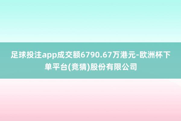 足球投注app成交额6790.67万港元-欧洲杯下单平台(竞猜)股份有限公司