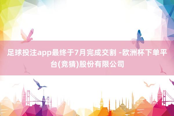 足球投注app最终于7月完成交割 -欧洲杯下单平台(竞猜)股份有限公司
