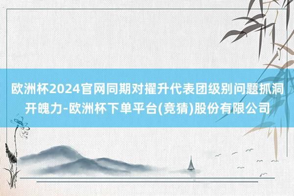 欧洲杯2024官网同期对擢升代表团级别问题抓洞开魄力-欧洲杯下单平台(竞猜)股份有限公司