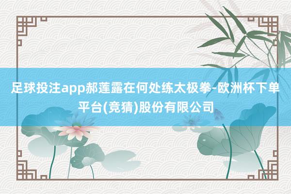 足球投注app郝莲露在何处练太极拳-欧洲杯下单平台(竞猜)股份有限公司