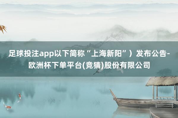 足球投注app以下简称“上海新阳”）发布公告-欧洲杯下单平台(竞猜)股份有限公司