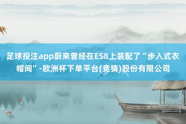 足球投注app蔚来曾经在ES8上装配了“步入式衣帽间”-欧洲杯下单平台(竞猜)股份有限公司