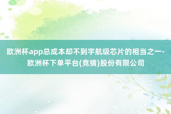欧洲杯app总成本却不到宇航级芯片的相当之一-欧洲杯下单平台(竞猜)股份有限公司